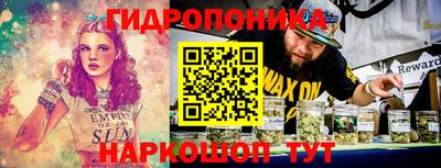 стаф Донецк