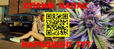стаф Донецк