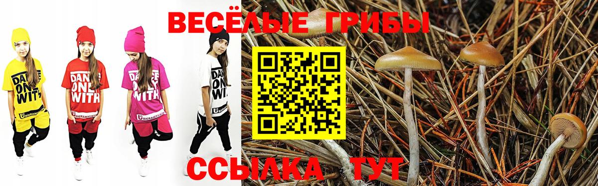 Псилоцибиновые грибы Psilocybe  Вход с VPN  Галлюциногенные грибы ЛСД  Новороссийск 