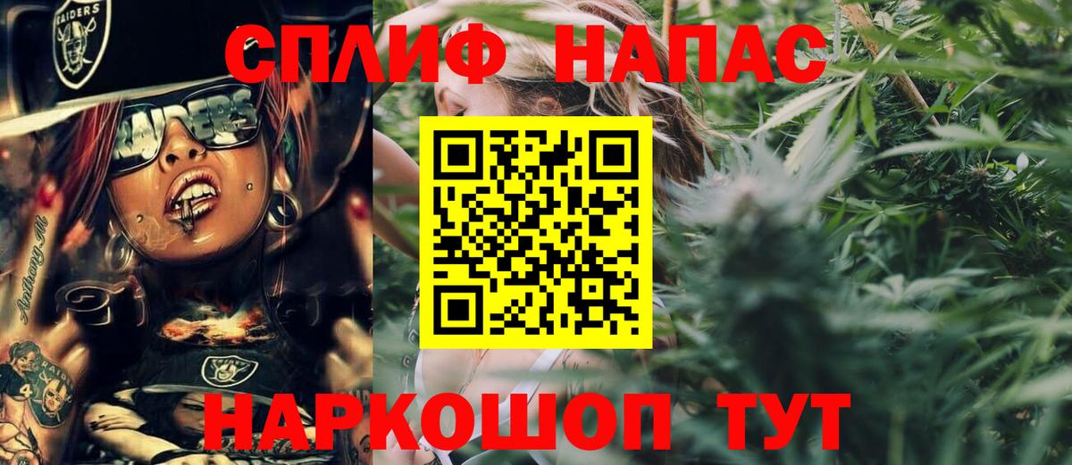 Конопля MAZAR  Вход с VPN  Новороссийск  Бошки марихуана индика 
